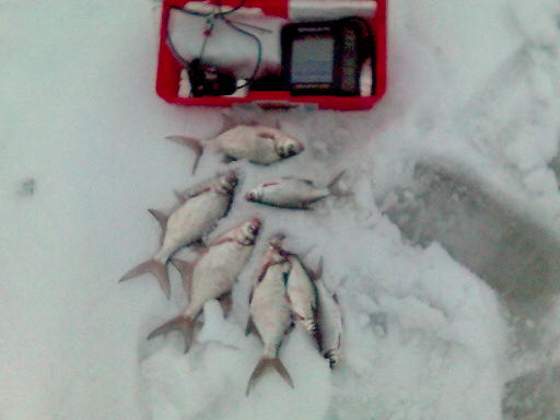060222_164053.jpg