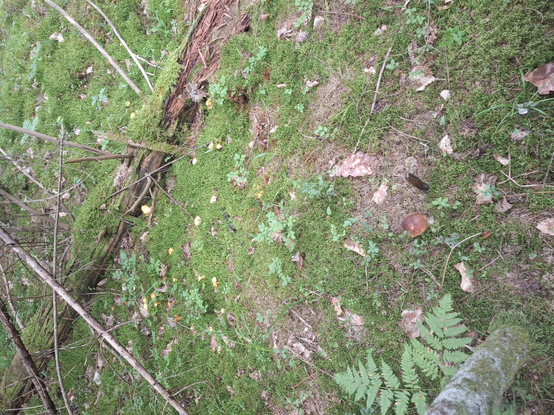 20260723_110611.jpg