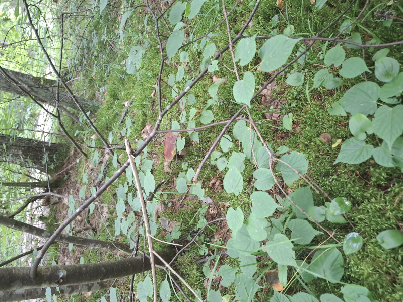 20260723_103217.jpg