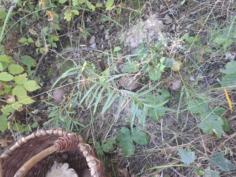 20260909_115601.jpg